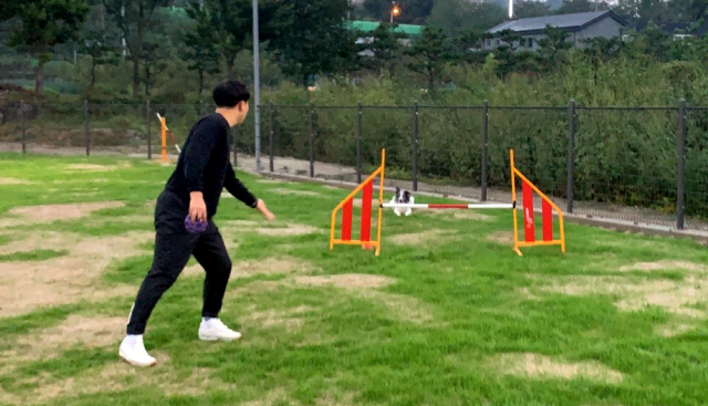 견주 허정빈 씨와 반려견 로빈이 어질리티 대회를 위해 연습하고 있다.