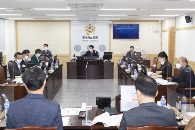 최근 경북도의회 지방소멸대책특별위원회가 경북도 저출산·고령화 관련 부서로부터 올해 첫 업무보고를 받았다. 경북도의회 제공