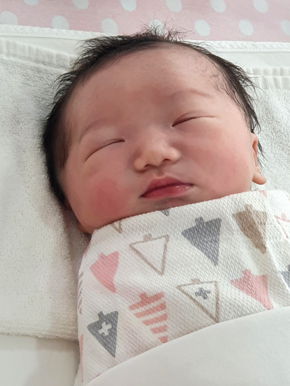 신나리아가