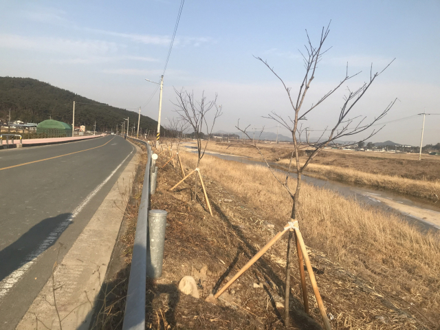 경주 인왕동에