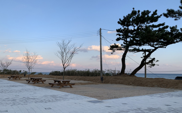 경북도교육청이 운영하는 영덕오토캠핑장은 바다와 인접한 지리적 이점과 함께 넓은 공간 덕에 코로나19 방역지침을 준수하며 캠핑을 즐길 수 있다. 경북도교육청 제공