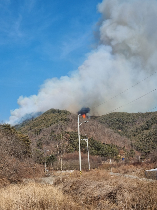 경북 의성군 의성읍 중리리 야산에 산불이 발생, 산림을 태우고 있다. 의성군 제공