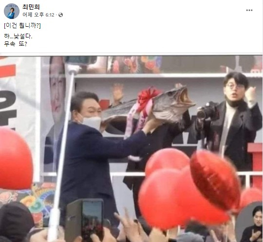 최민희 더불어민주당 선거대책위원회 미디어특보단장 페이스북 캡쳐