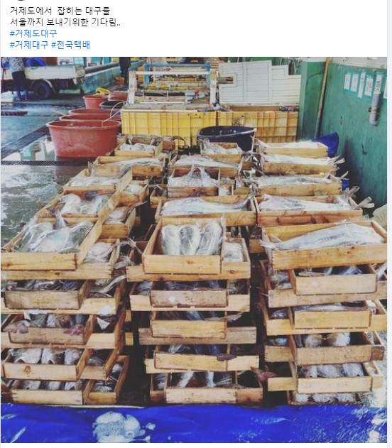 윤석열 후보에게 말린 대구를 선물한 A씨 페이스북 캡쳐