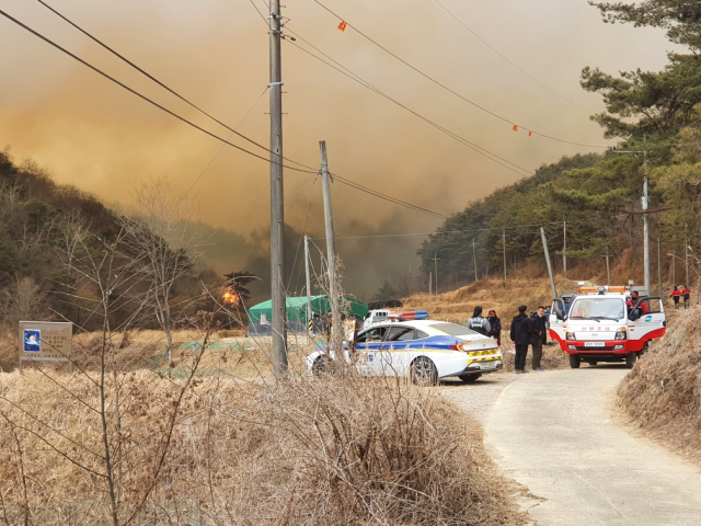 28일 오후 2시 26분쯤 경남 합천군 율곡면 노양리 야산에서 발생한 산불이 강풍을 타고 고령군 쌍림면 합가리 야산으로 옮겨 붙고 있다. 이채수 기자