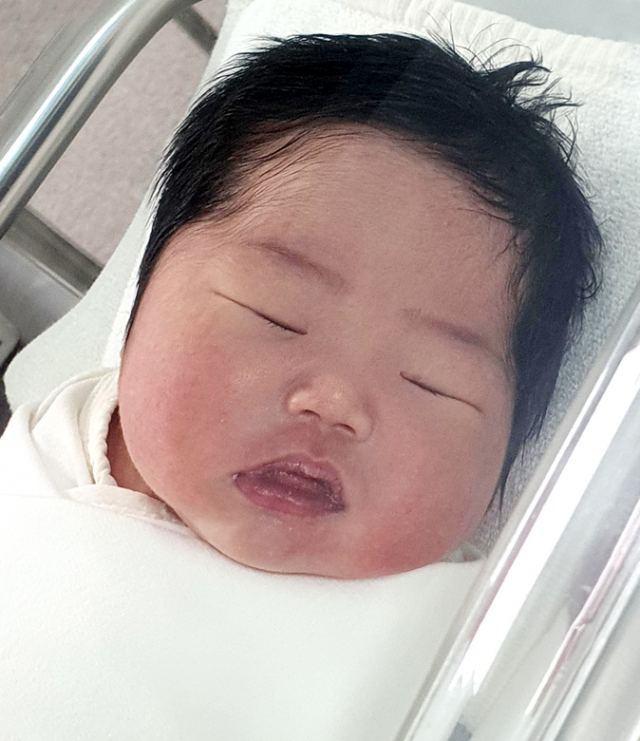 하미정아가