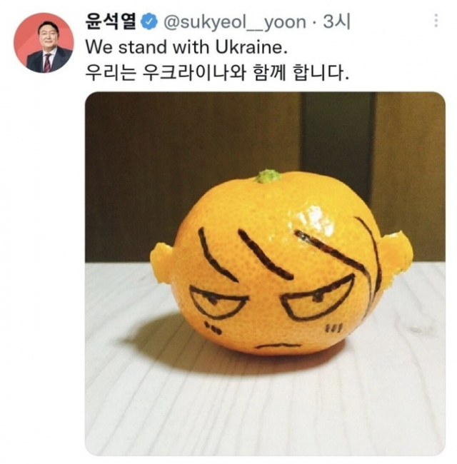 윤석열 국민의힘 대선후보 측이 게시한 귤 캐리커쳐 사진. 온라인 커뮤니티