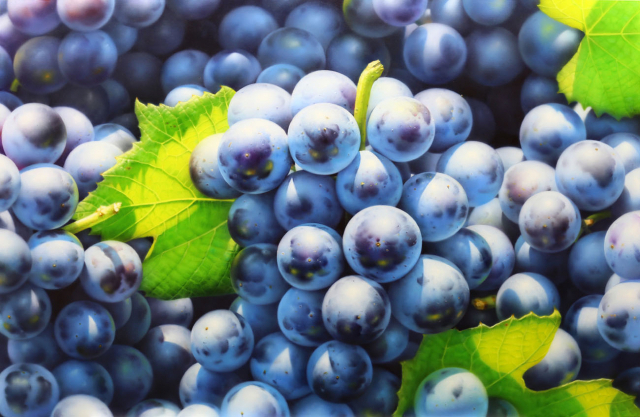 김대연, Grapes, 100x65cm, oil on canvas, 2021.