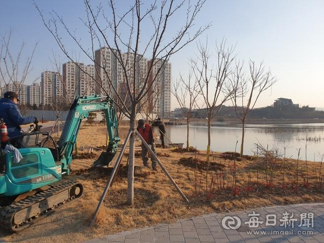 재경 경산시향우회 원로 회원 7명이 경산시에 조경수를 기증, 감못 경산명품대추 테마공원에 심었다. 경산시 제공