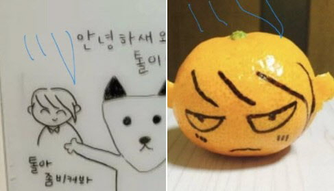 윤석열 국민의힘 대선 후보 집 화이트보드에 그려진 김건희 씨, 토리 캐릭터 그림과 최근 윤 후보 SNS에 게시된 우크라이나 귤. 윤 후보 SNS 갈무리
