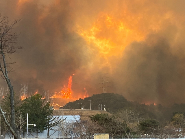 한울원전 주변에서 바라본 울진 산불 현장. 독자제공