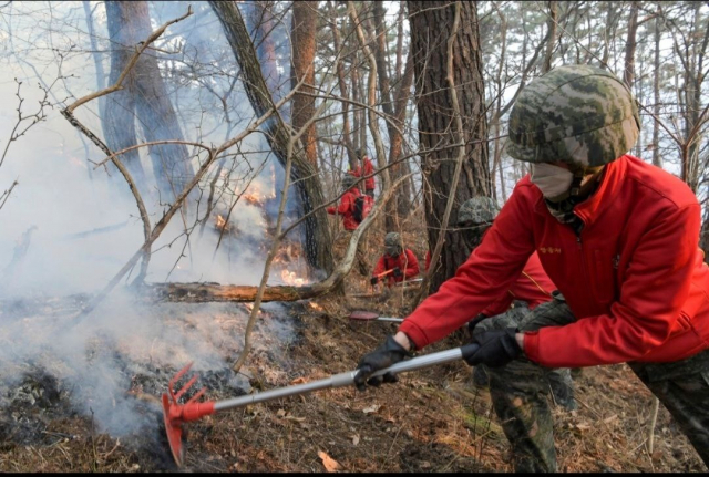 6일 해병대 장병들이 울진 산불 진화작업을 벌이고 있다. 해병대 제1사단 제공.