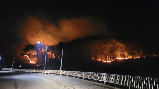 울진산불이 남하하면서 5일 밤 죽변 도로변까지 접근하고 있다. 이상원 기자
