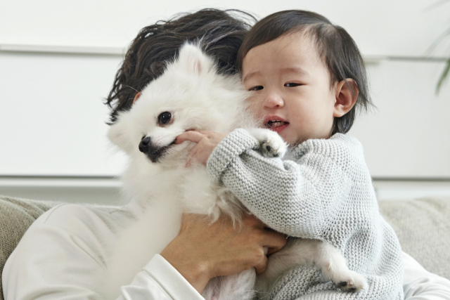 강아지가 손을 무는 행동은 지극히 건강한 행동이다.일종의 사회화 과정의 시작이다.