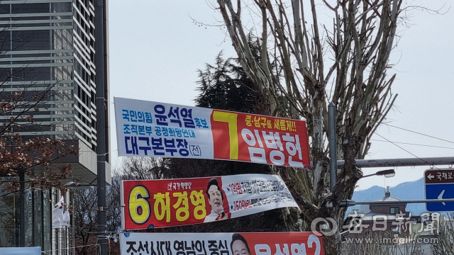 대구 중구남구 국회의원 보궐선거에 출마한 보수성향 무소속 후보들이 저마다 현수막을 통해 