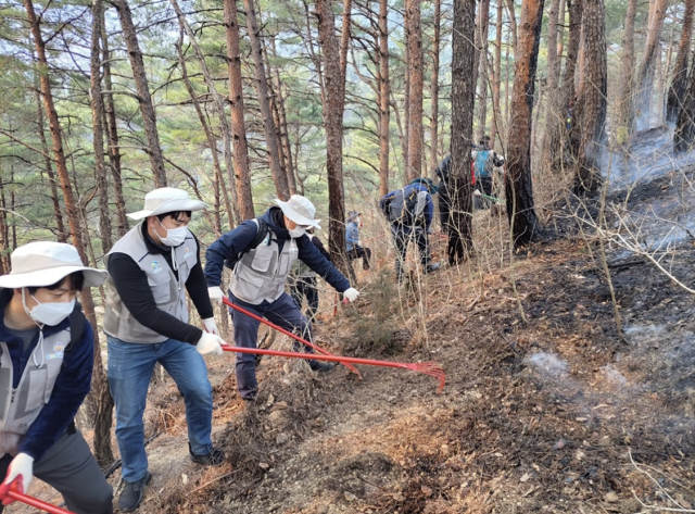 경북도 산하 공공기관 임직원들이 울진 산불 현장 진화 지원 활동을 벌이고 있다. 경북도 제공