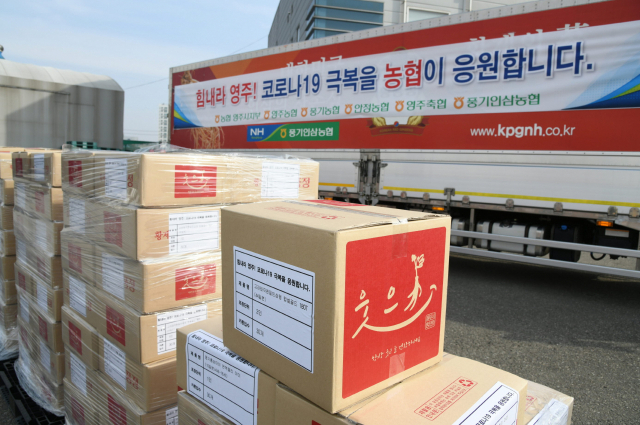 농협 영주시지부 등 5개 조합이 사회복지시설에 전달할 홍삼제품. 영주시 제공