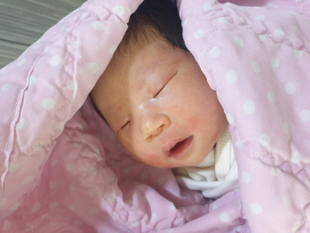 손혜미아가