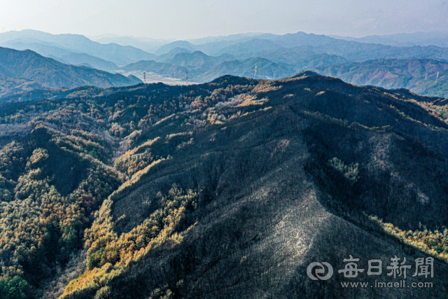 15일 오후 경북 울진 북면에서 바라본 산불 피해지역의 모습. 울창한 산림이 모두 불타 앙상한 모습으로 변했다. 안성완 기자 asw0727@imaeil.com