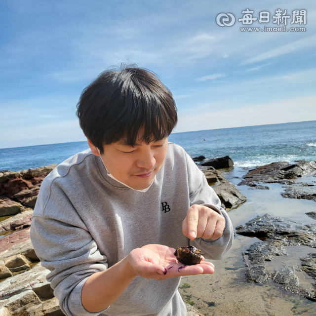 경북 동해안 지역은 국가지질공원이며 세계적인 청정지역이다.가족 단위 관광객이 자연을 배울 수 있는 최적지다. 기자는 취재과정 중 영덕 한 해안가에서 군소를 발견했다.