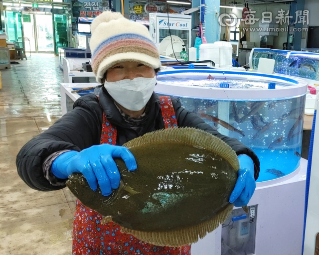 경북 영덕 축산항 어시장의 한 상인이 싱싱한 광어를 들어보이고 있다. 이곳은 최근 가족 단위 관광객이 늘어나면서 지역 경기에도 큰 영향을 주고 있다. 전종훈 기자
