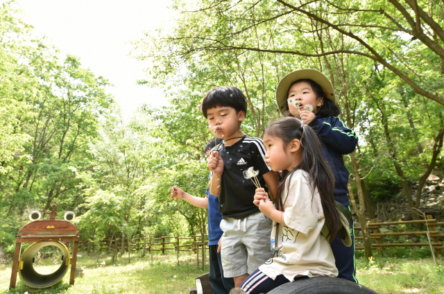 경북 청송군은 깨끗한 산림을 보유하고 있고 그 산림을 유지하기 위해 많은 노력을 기울이고 있다. 산림 속에서 자연을 배우는 아이들. 청송군 제공