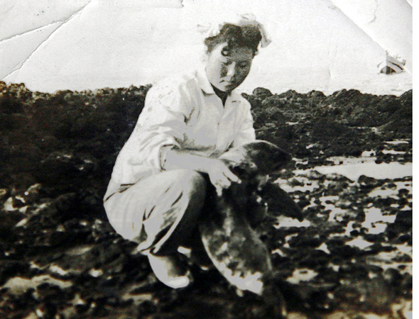 1950년대 말 독도에서 김공자 해녀가 강치를 안고 있는 모습. 경북도 제공