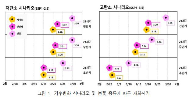 기후변화 시나리오 및 봄꽃 종류에 따른 개화시기. 기상청