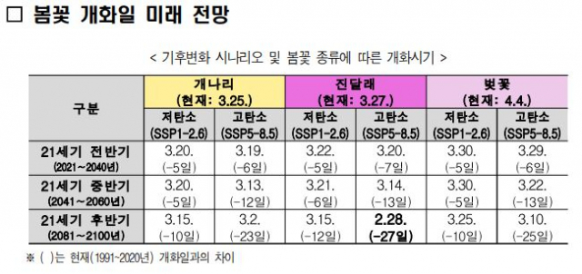 봄꽃 개화일 미래 전망. 기상청