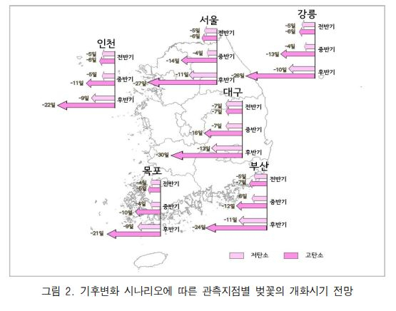 기후변화 시나리오에 따른 관측지점별 벚꽃의 개화시기 전망. 기상청