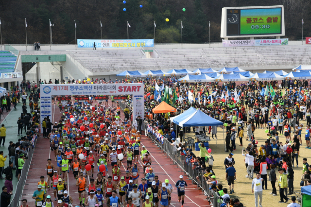 제17회 소백산마라톤 대회 참가 선수들이 출발 신호에 맞춰 힘차게 달려나가고 있다. 마경대 기자