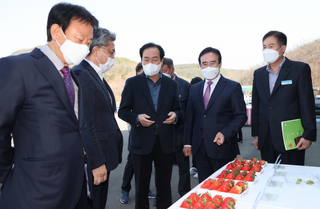 경북 의성군에 정착한 도시 청년들이 생산한 