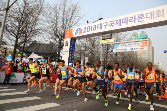 2018 대구국제마라톤대회 엘리트 부문 경기 출발 모습. 매일신문 DB