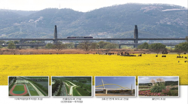 대구 북구 금호강 하중도 전경. 대구시 제공