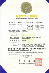 경북 김천시는 31일 자체 개발한 