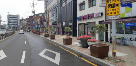 김천 원도심 가로수 수종교체 후 모습. 김천시 제공