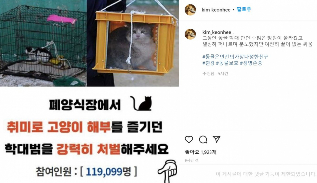 윤석열 대통령 당선인 배우자 김건희 여사는 9일 자신의 인스타그램 계정에 고양이 학대범 처벌을 촉구하는 게시물을 올렸다. 김건희 인스타그램 캡처.