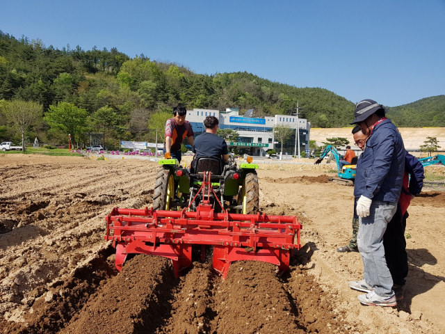 청송군이 시행하는 