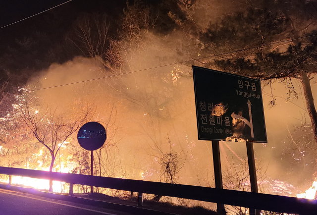 10일 오후 강원 양구군 양구읍 송청리에서 발생한 산불이 밤까지 이어져 불길이 도로까지 내려오고 있다. 연합뉴스