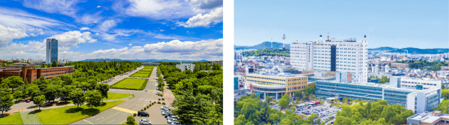 영남대학교(좌)와 영남대의료원(우) 전경. 영남대 전경