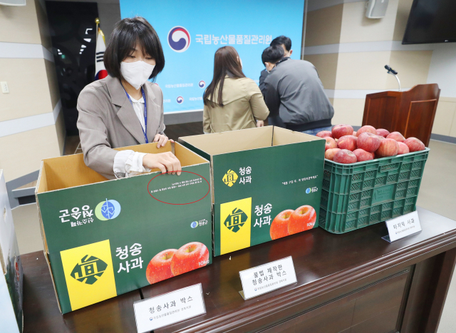 국립농산물품질관리원(농관원) 경북지원 배정은 수사관이 14일 경북지원 브리핑 룸에서 가짜 청송사과 상자에 대한 설명을 하고 있다. 이날 농관원 경북지원은 가짜 청송사과 350여t을 불법 유통해 17억원을 챙긴 4명을 적발했다고 발표했다. 연합뉴스