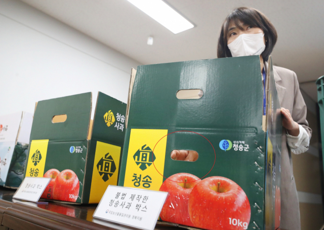 국립농산물품질관리원(농관원) 경북지원 배정은 수사관이 14일 경북지원 브리핑 룸에서 가짜 청송사과 상자에 대한 설명을 하고 있다. 이날 농관원 경북지원은 가짜 청송사과 350여t을 불법 유통해 17억원을 챙긴 4명을 적발했다고 발표했다. 연합뉴스