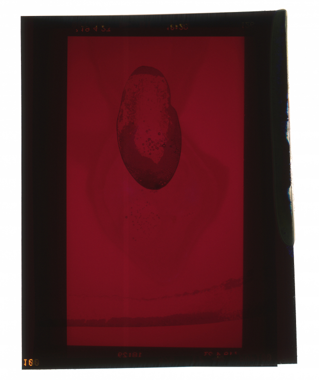 박인성, film071, digital c print on textured fine art paper, pin, 138 x 110(80p), 2022.