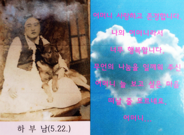 김기호 대구 아너소사이어티 여성 대표가 지니고 있는 어머니 고 하부남 씨의 사진. 몇 년 전 사촌들이 지니고 다니기 편하도록 편집해 코팅해 들고 다니고 있다. 김기호 대표 제공.