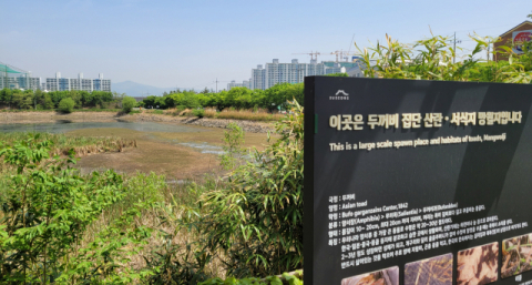 ‘올챙이 떼죽음’, 망월지 수리계 대표 벌금 2천만원
