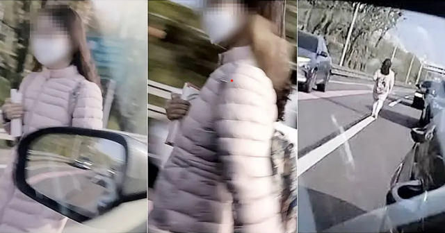 대낮 올림픽대로를 활보하는 여성의 모습. 온라인커뮤니티 캡처