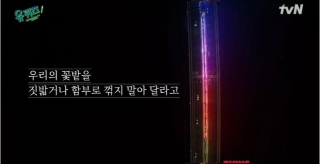 tvN 예능 프로그램 