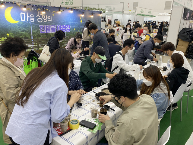 2022 대한민국 캠핑대전에 참가한 수성구 홍보 부스에서 참관객들이 다육이 원예 체험을 하고 있다. 수성구청 제공
