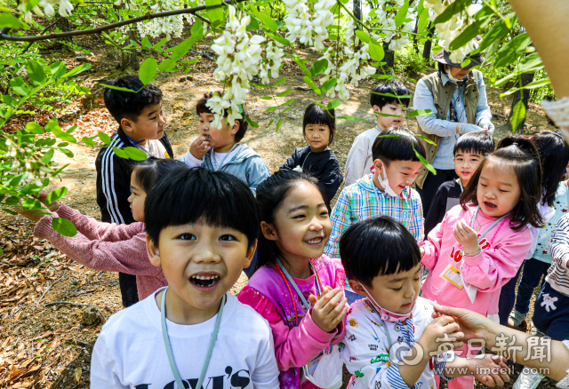 12일 대구 수성구 무학산 유아숲체험원에서 