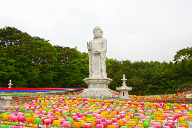 동화사 통일약사대불 전경. 동화사 제공